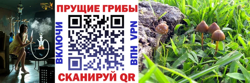 Галлюциногенные грибы Cubensis  Джанкой 
